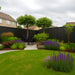 Backyard garden with a patio area, trees, and various plants on a cloudy day. With a feature black slat clad fence