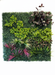 Artificial green wall panel with various green plants pink and purple accents